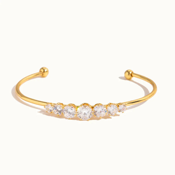 Guadalupe Brazalete de Circonitas