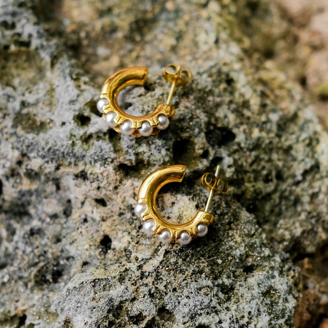 Viveiro Aros de Perlas