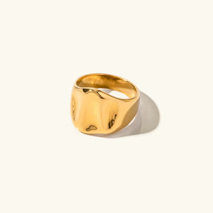 Pamplona Anillo Esencial