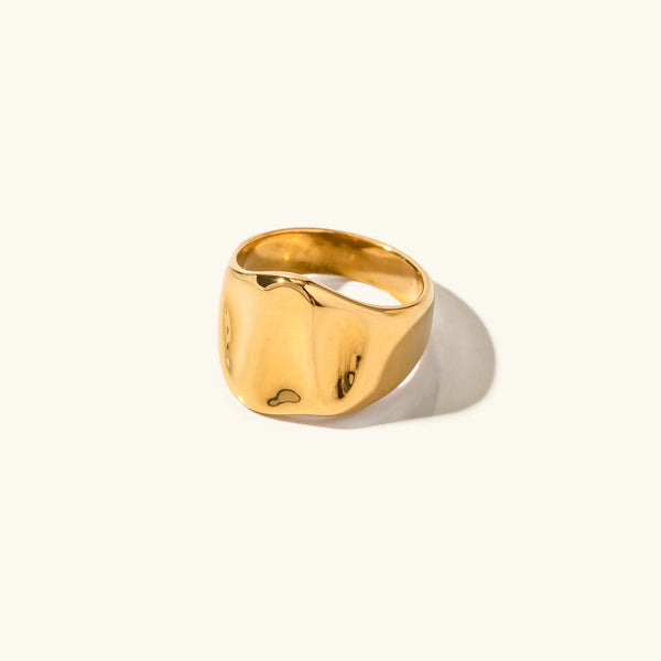 Pamplona Anillo Esencial