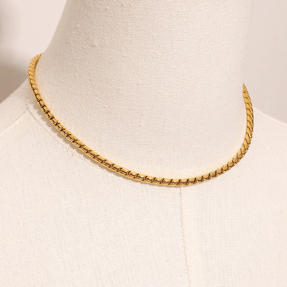 Pamplona Collar Esencial