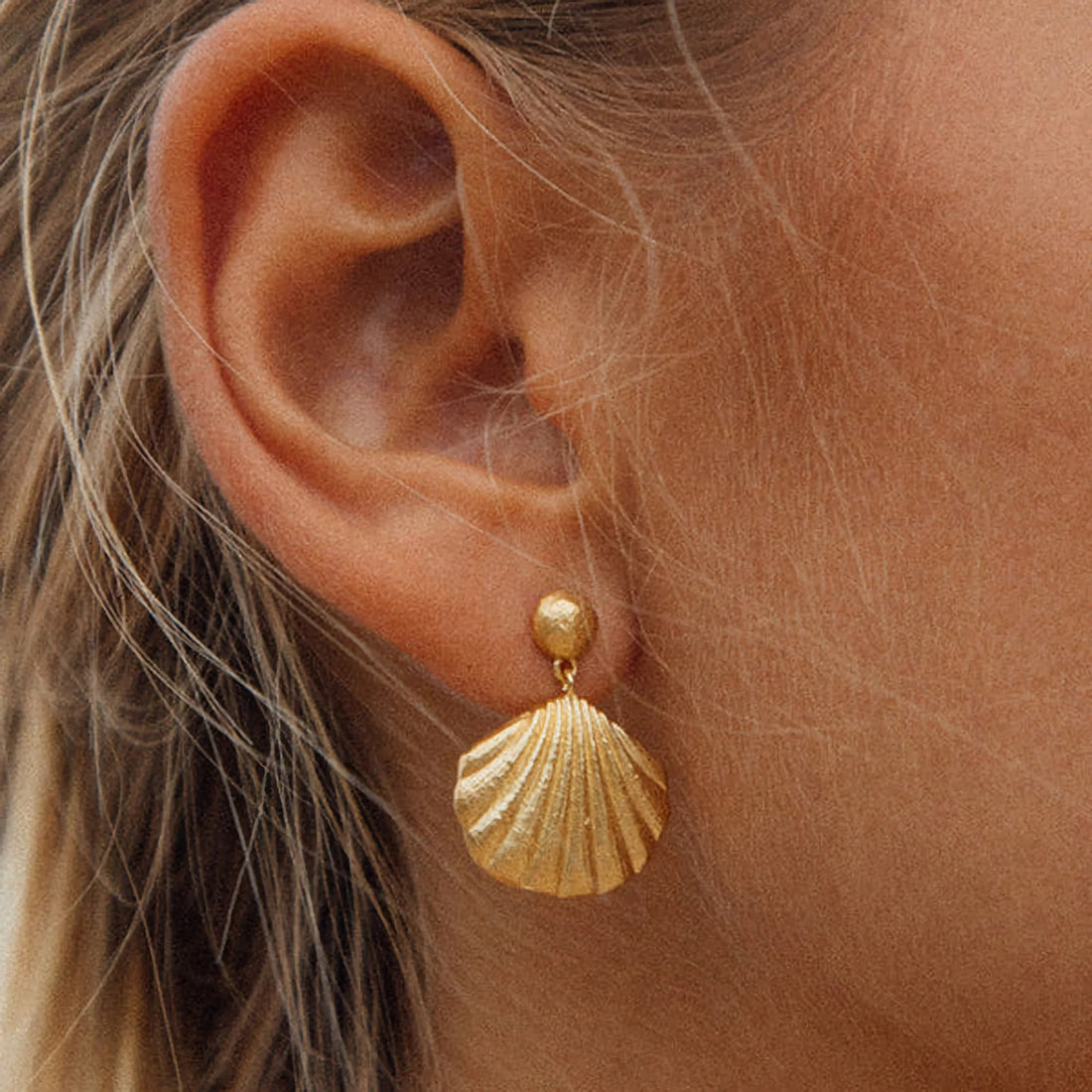 Estepa Pendientes Concha