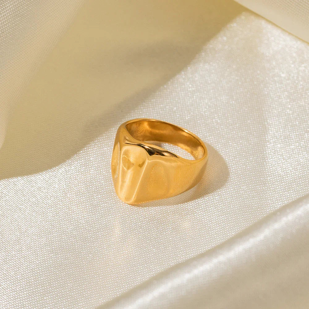 Pamplona Anillo Esencial