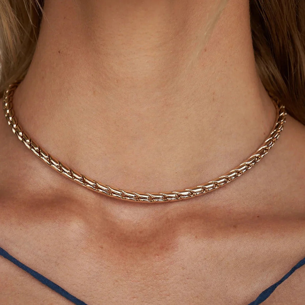 Pamplona Collar Esencial