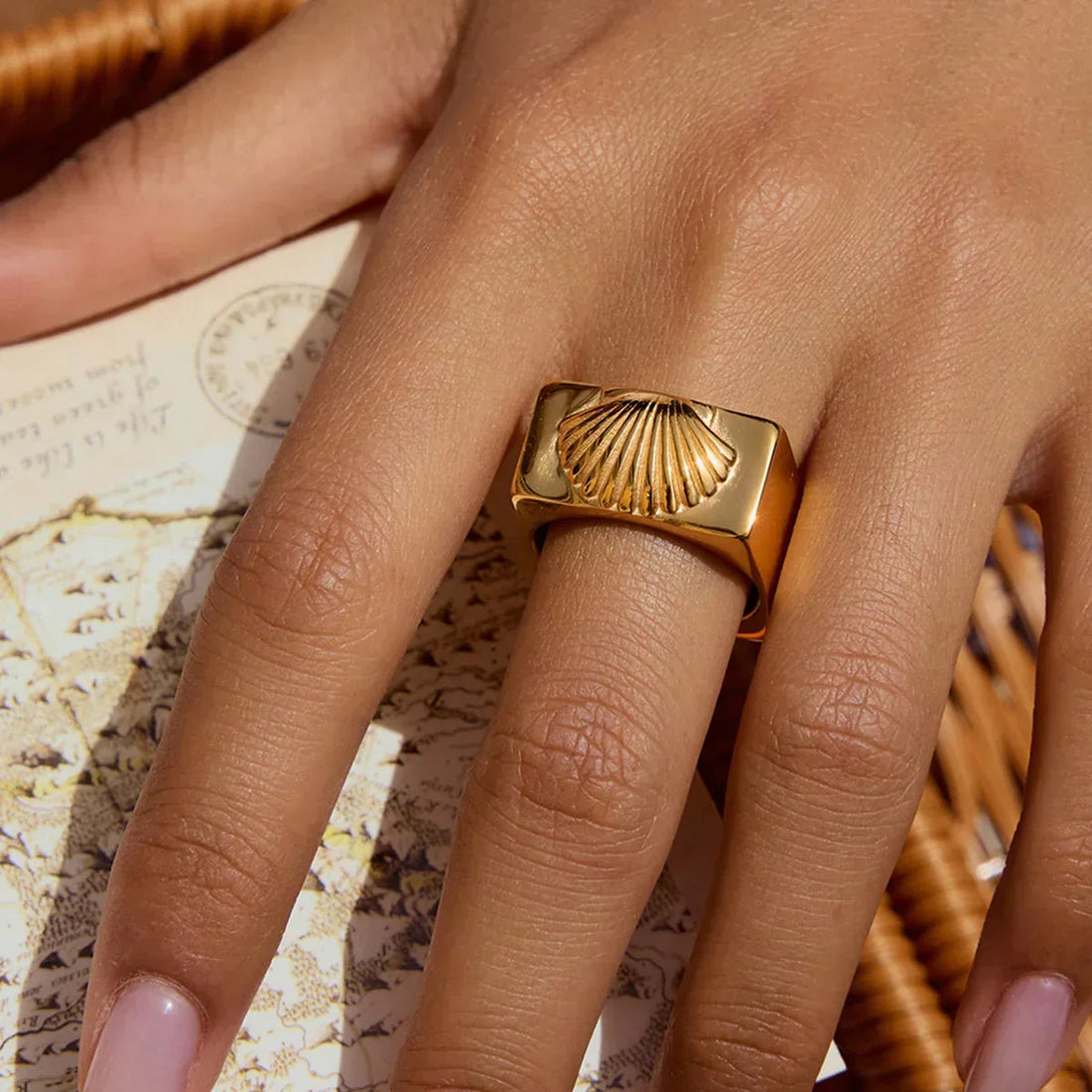 Laxe Anillo Concha