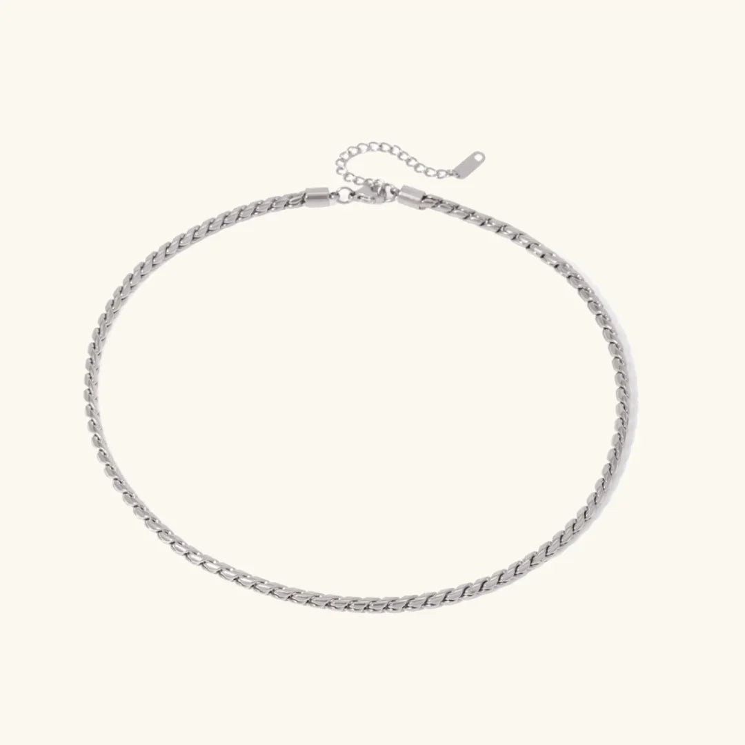 Pamplona Collar Esencial