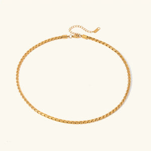 Pamplona Collar Esencial