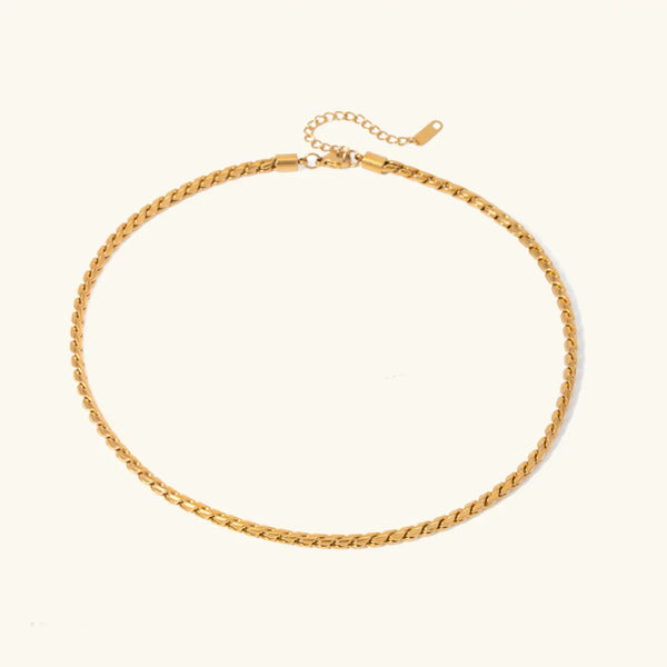 Pamplona Collar Esencial